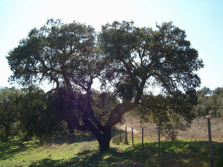 2009_portugal 218